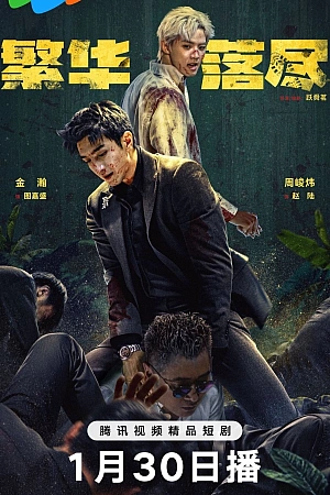 Постер к дораме Когда померкнет блеск