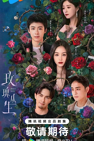 Постер к дораме О любви