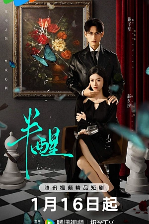 Постер к дораме В полусне