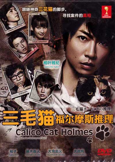 Рассуждения пятнистой кошки Холмса